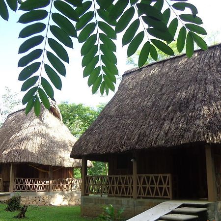 Hotel Nueva Alianza Frontera Corozal Экстерьер фото